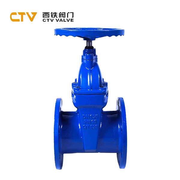 Soft Seal Gate Valve