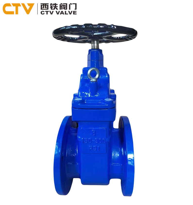 Resilient Seat Gate Valve