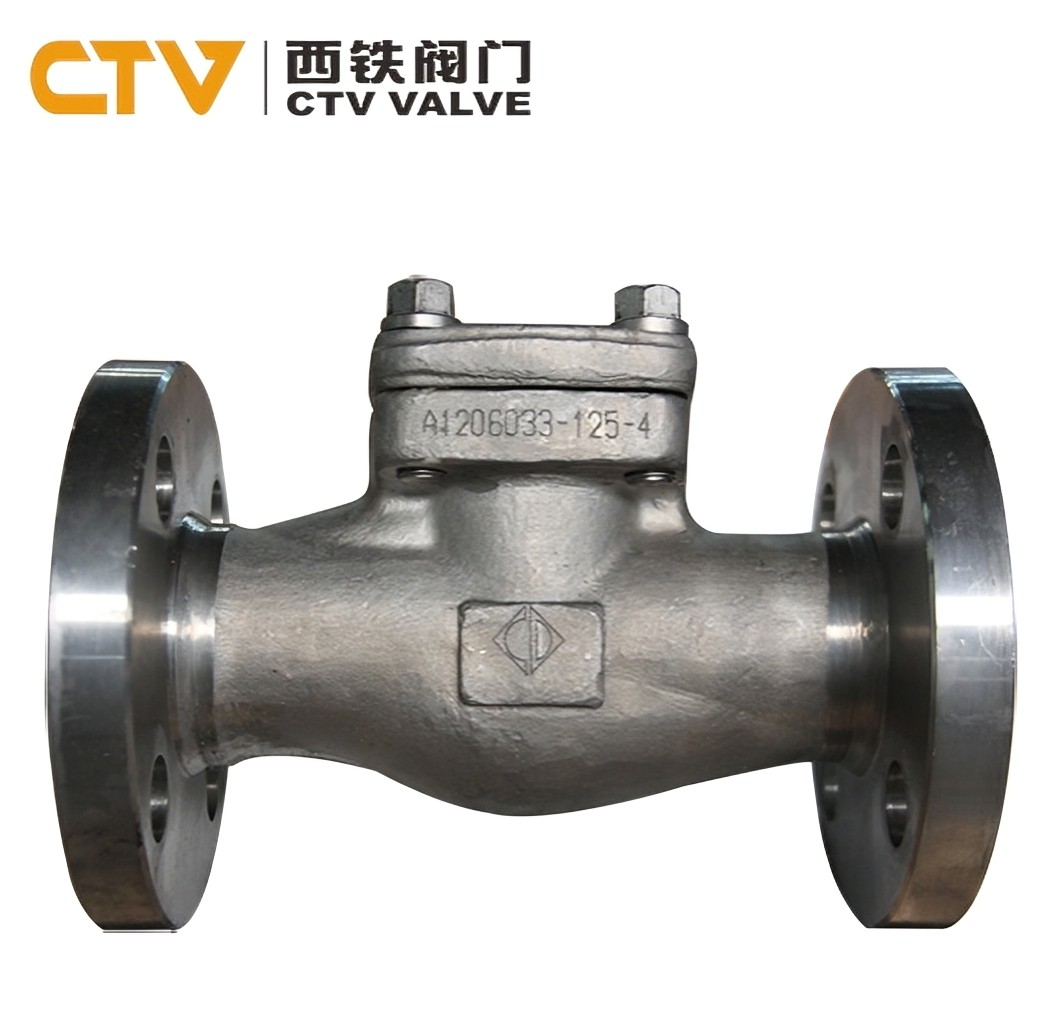 Cryogenic Check Valve