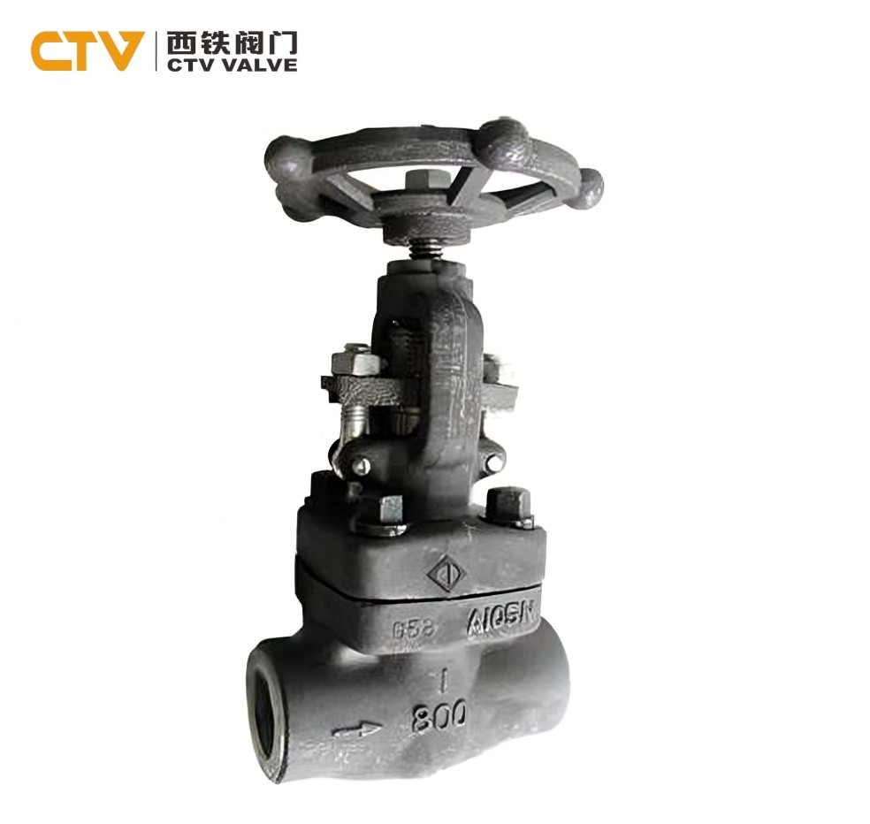 Forged Steel Globe Valve